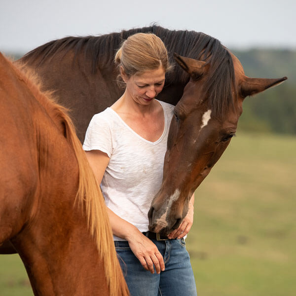 Impressionen Osteopathie Pferde und Menschen 11 ©Silke Garding